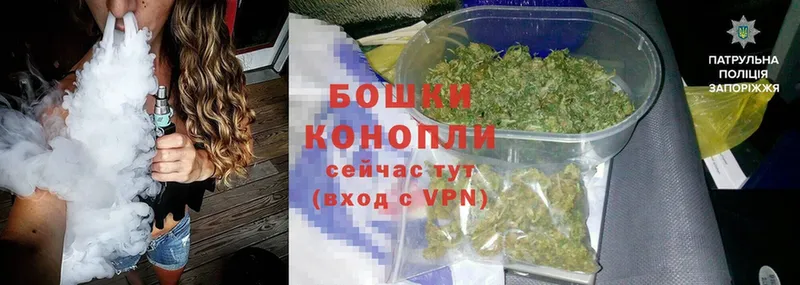 МАРИХУАНА White Widow  купить наркотики сайты  Курганинск 